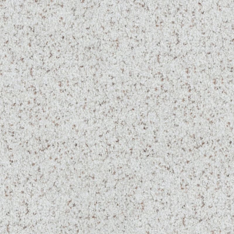 St. Augustine carpet by Masland