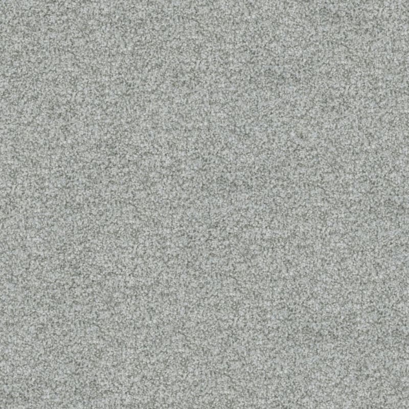 Boca Raton carpet by Masland