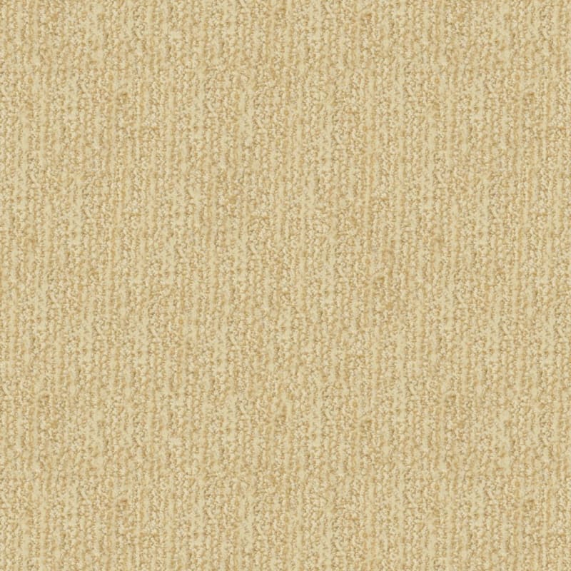 Mesa Verde carpet by Masland