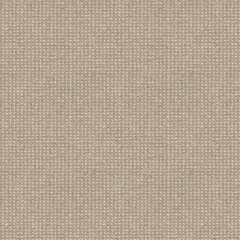 Andros carpet by Masland