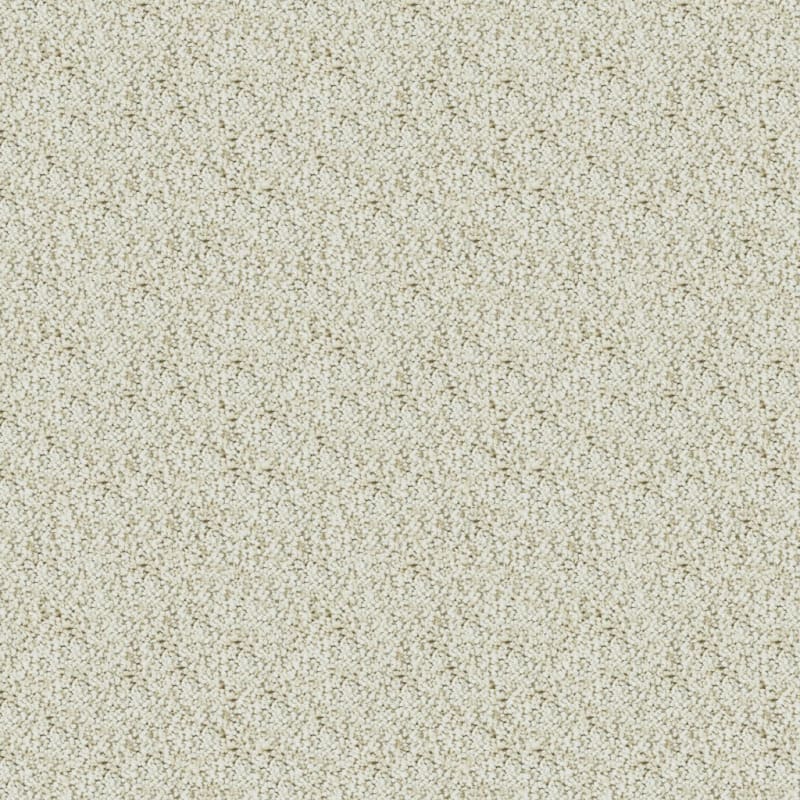 Shangri-La carpet by Masland