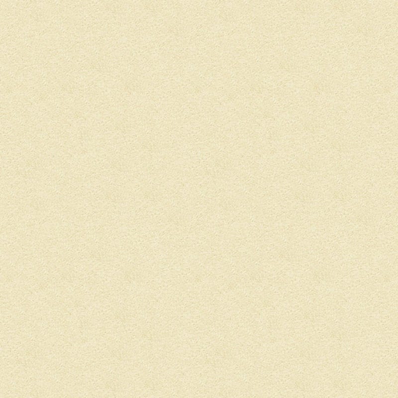 Vero Beach carpet by Masland