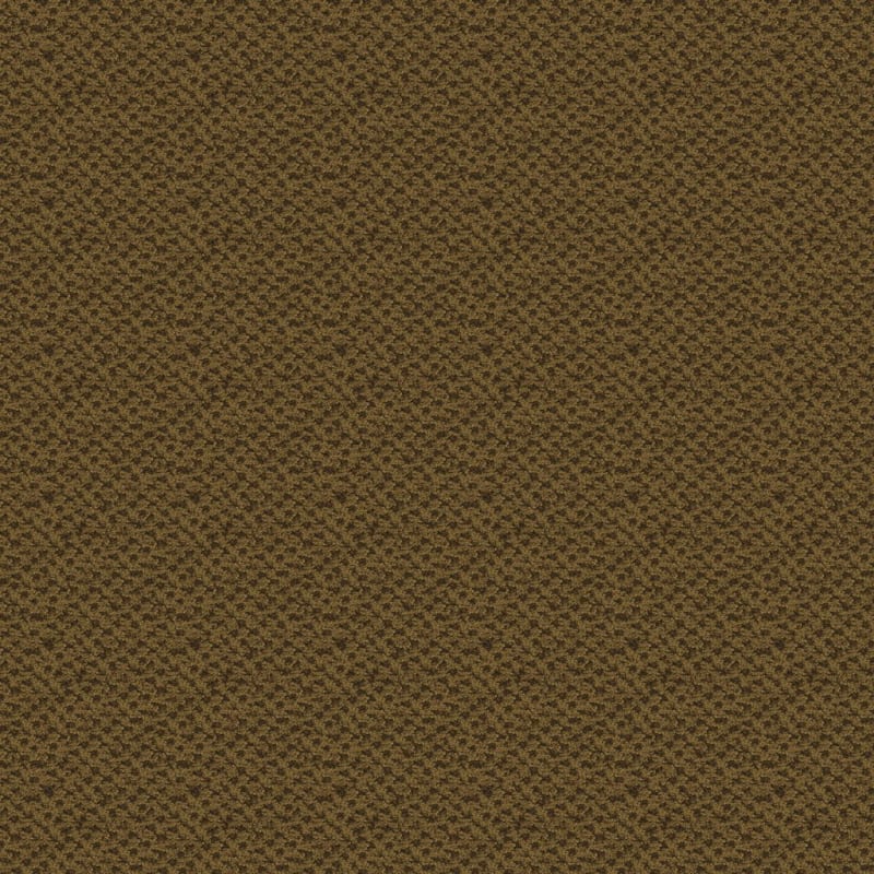 Seurat carpet by Masland