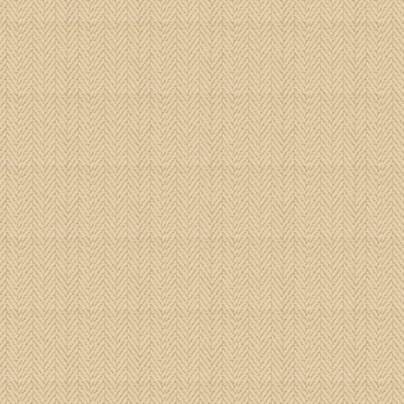 Distinguished carpet by Masland