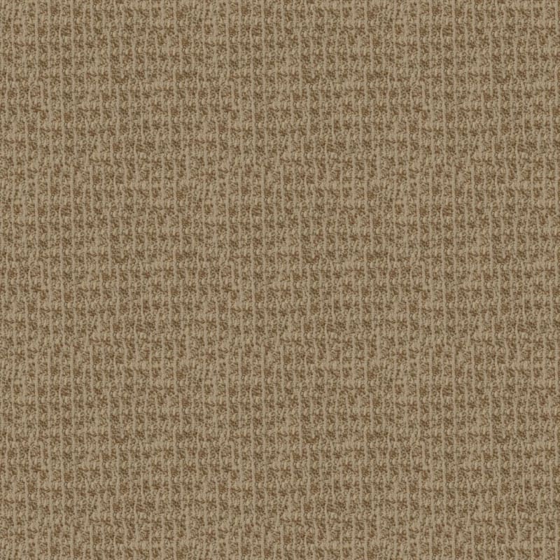 Hudson Valley carpet by Masland