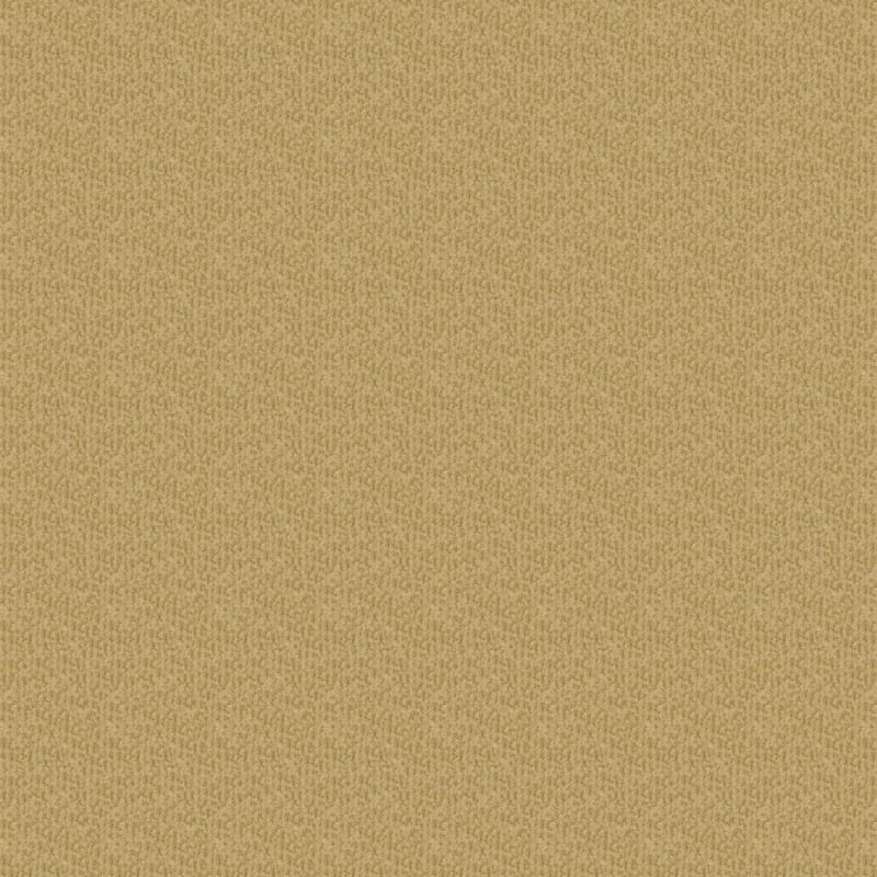 Pinehurst carpet by Masland