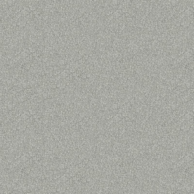 Tracker carpet by Masland