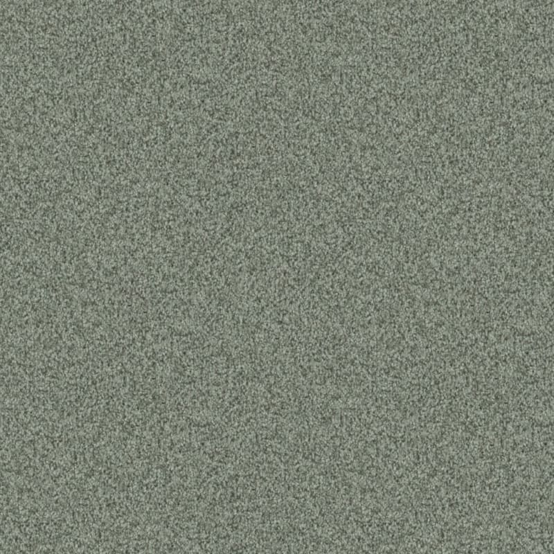 Santa Rosa carpet by Masland