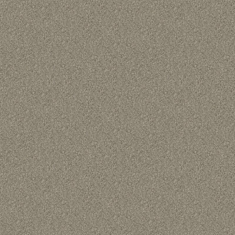 Hunter carpet by Masland