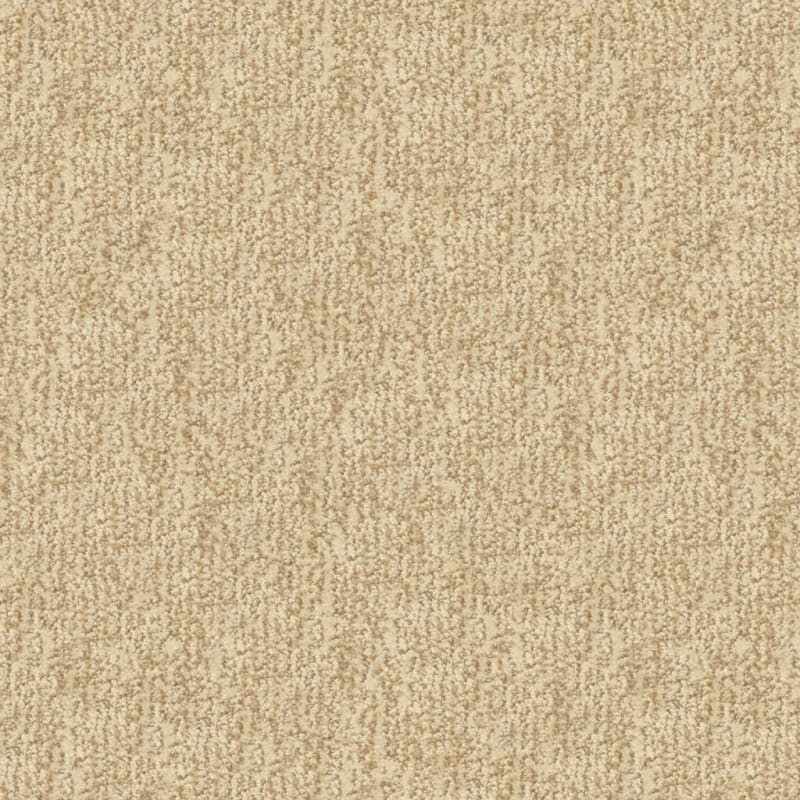 Mesa Verde carpet by Masland