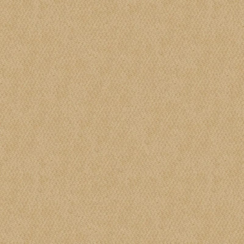 New Hope carpet by Masland