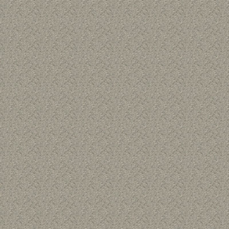 Morgan Bay carpet by Masland