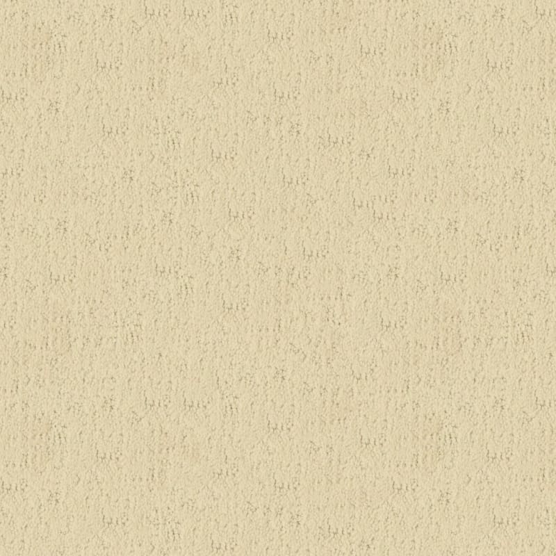 Santa Barbara carpet by Masland