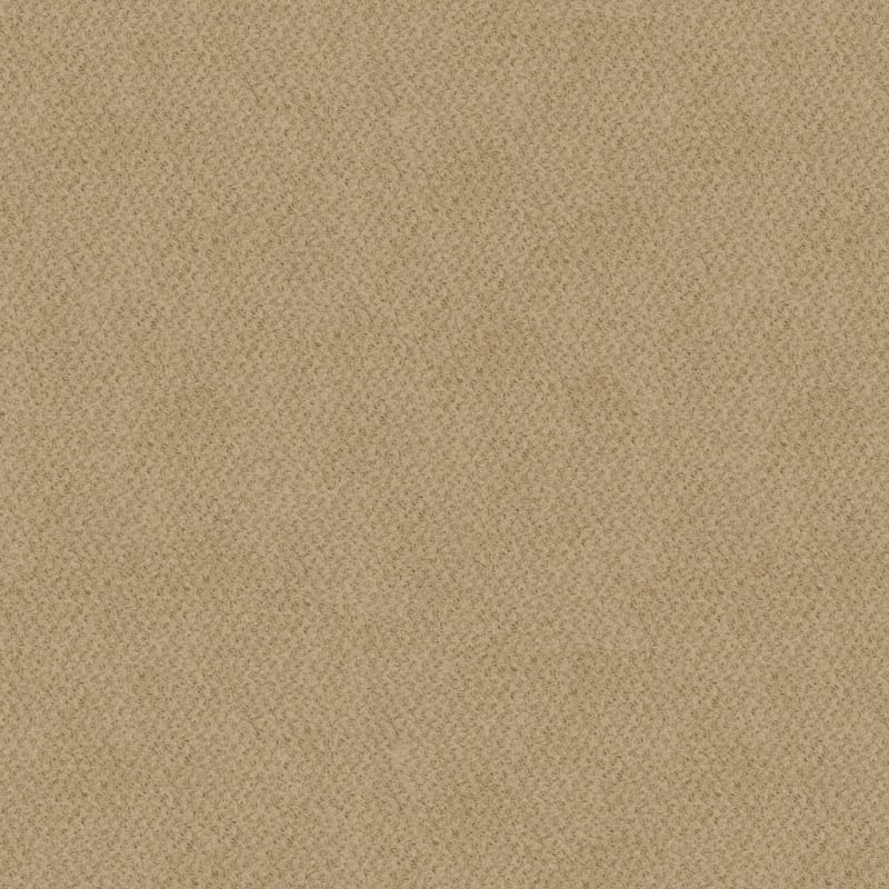 New Hope carpet by Masland