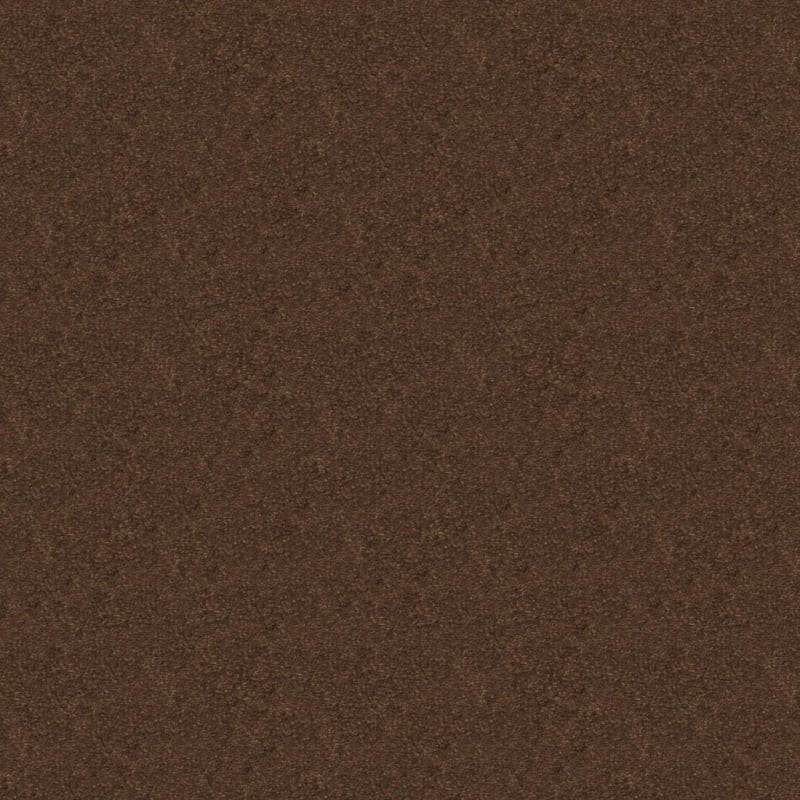 Embrace carpet by Masland