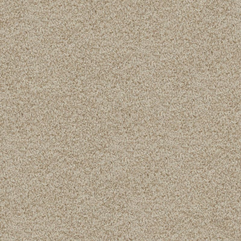 Boca Raton carpet by Masland