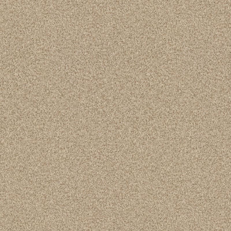 Santa Rosa carpet by Masland