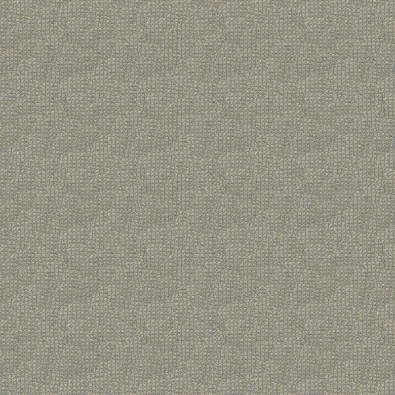 Alpha carpet by Masland