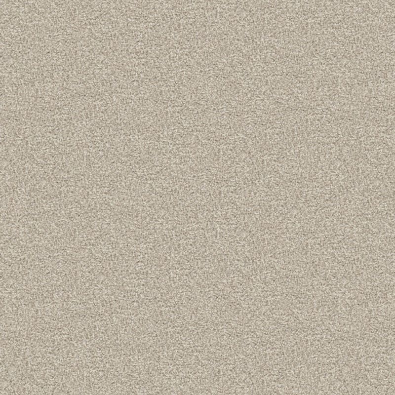 Tracker carpet by Masland
