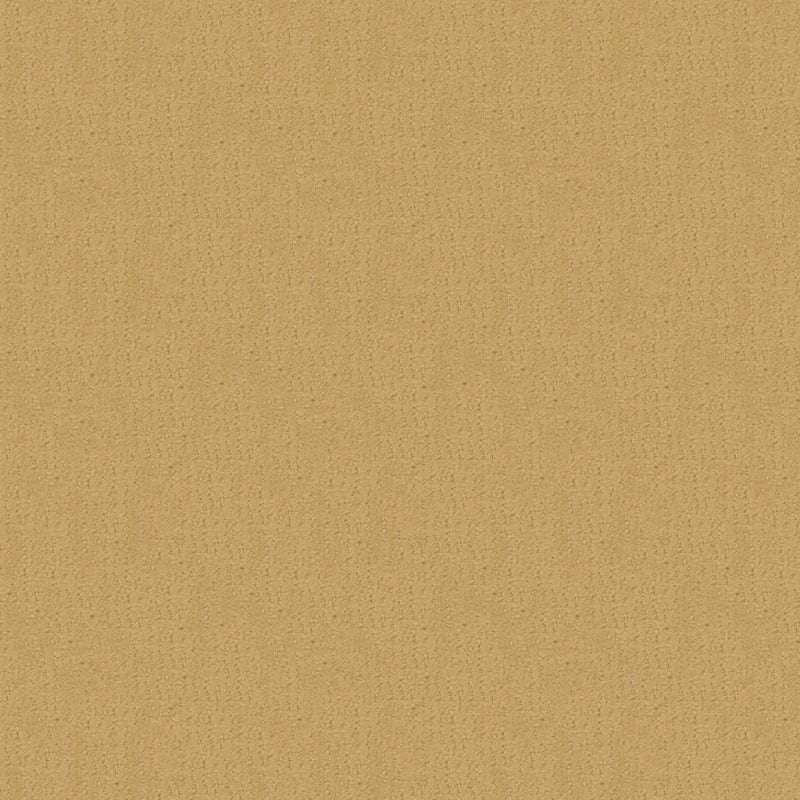 Nature'S Essence carpet by Masland