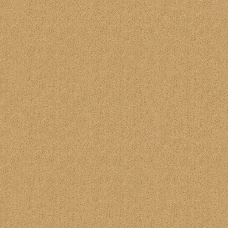Nature'S Essence carpet by Masland