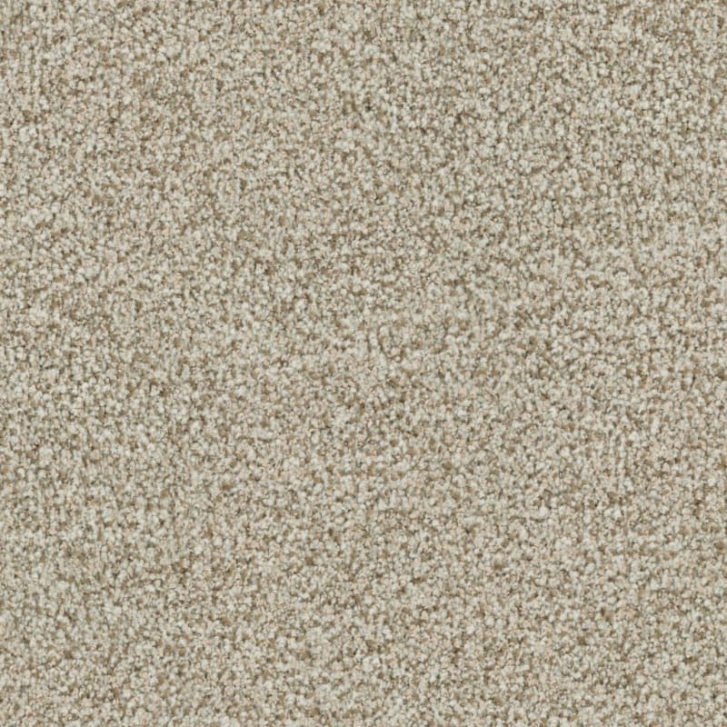 St. Augustine carpet by Masland