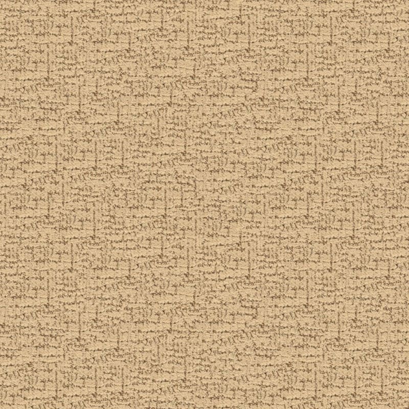 Dorado carpet by Masland