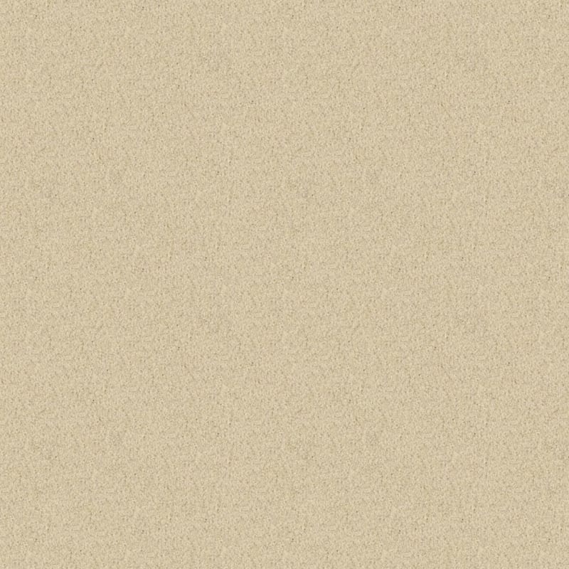 Oceanside carpet by Masland
