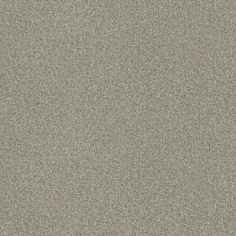 Tracker carpet by Masland