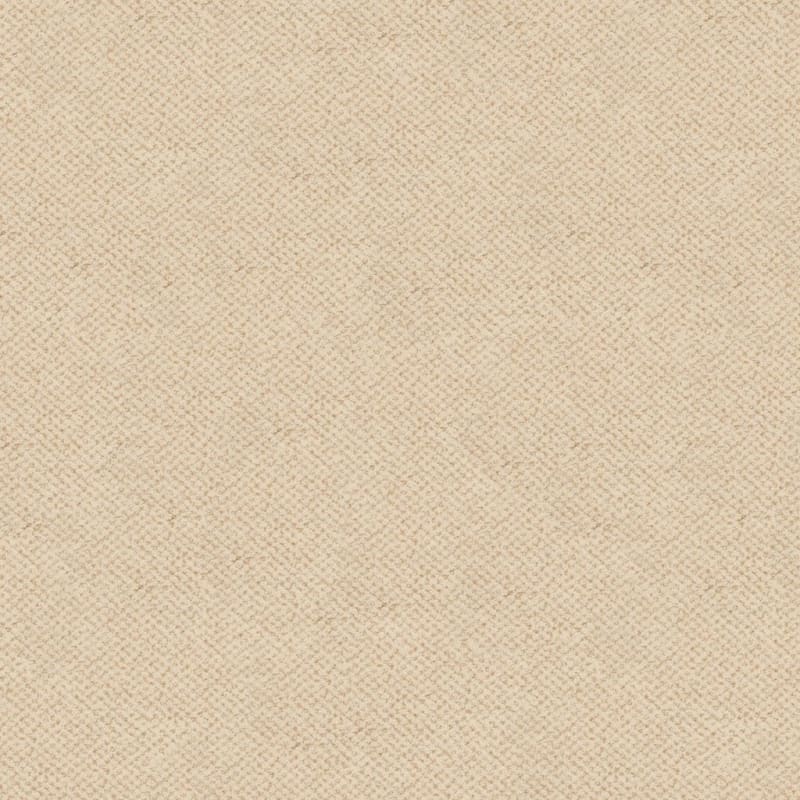Montauk carpet by Masland