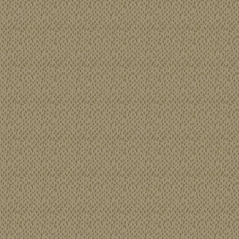 Seurat carpet by Masland