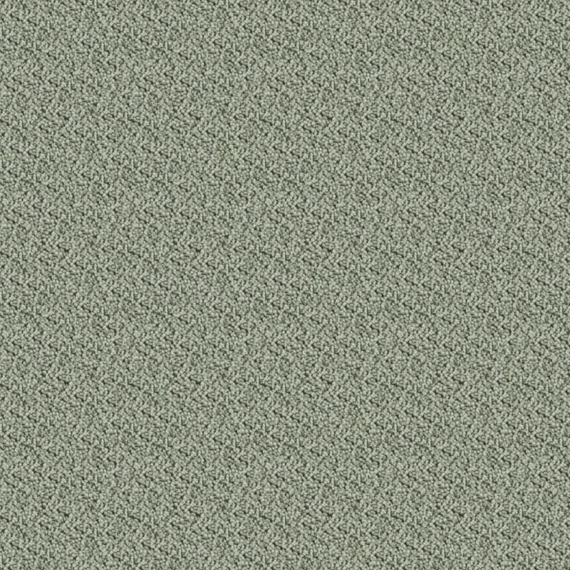 Shangri-La carpet by Masland