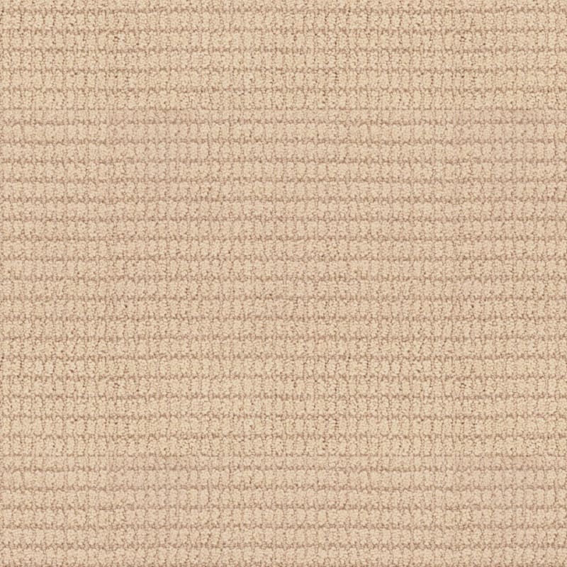 Defined carpet by Masland