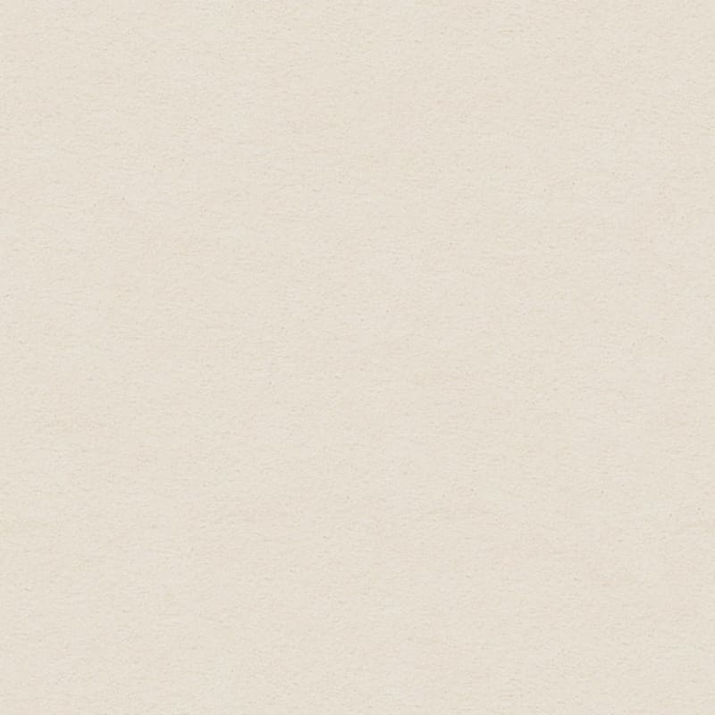 Knockout carpet by Masland