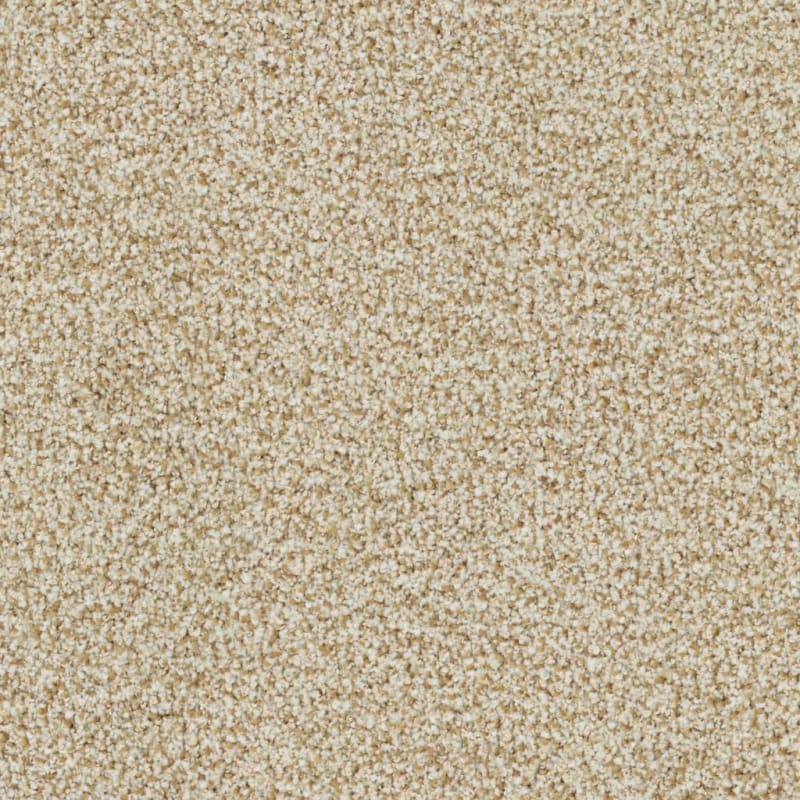 St. Augustine carpet by Masland