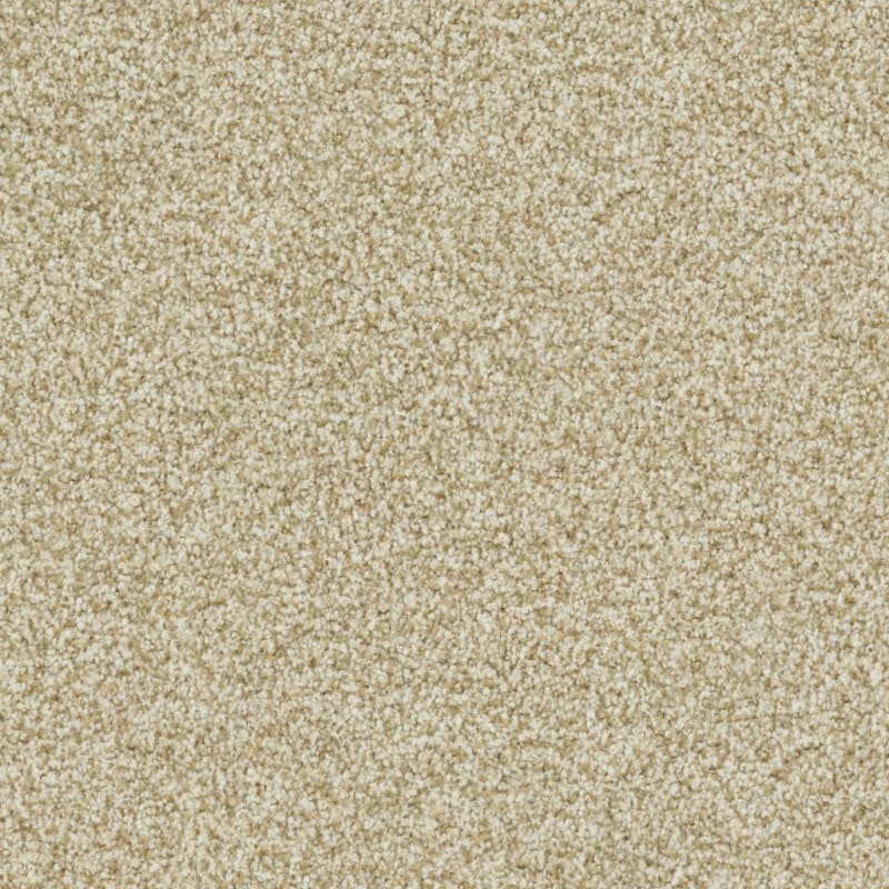 St. Augustine carpet by Masland