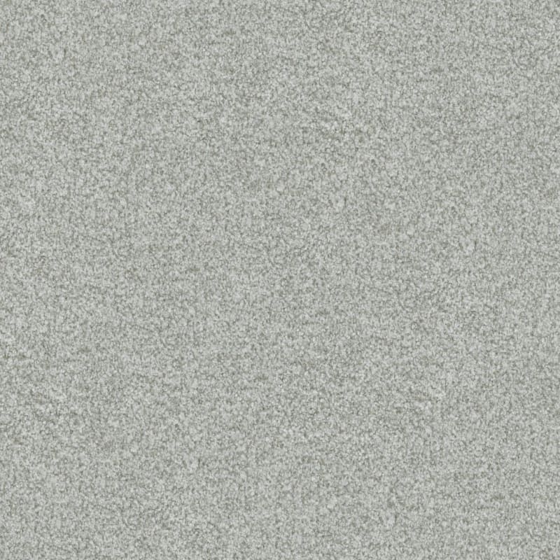 Boca Raton carpet by Masland