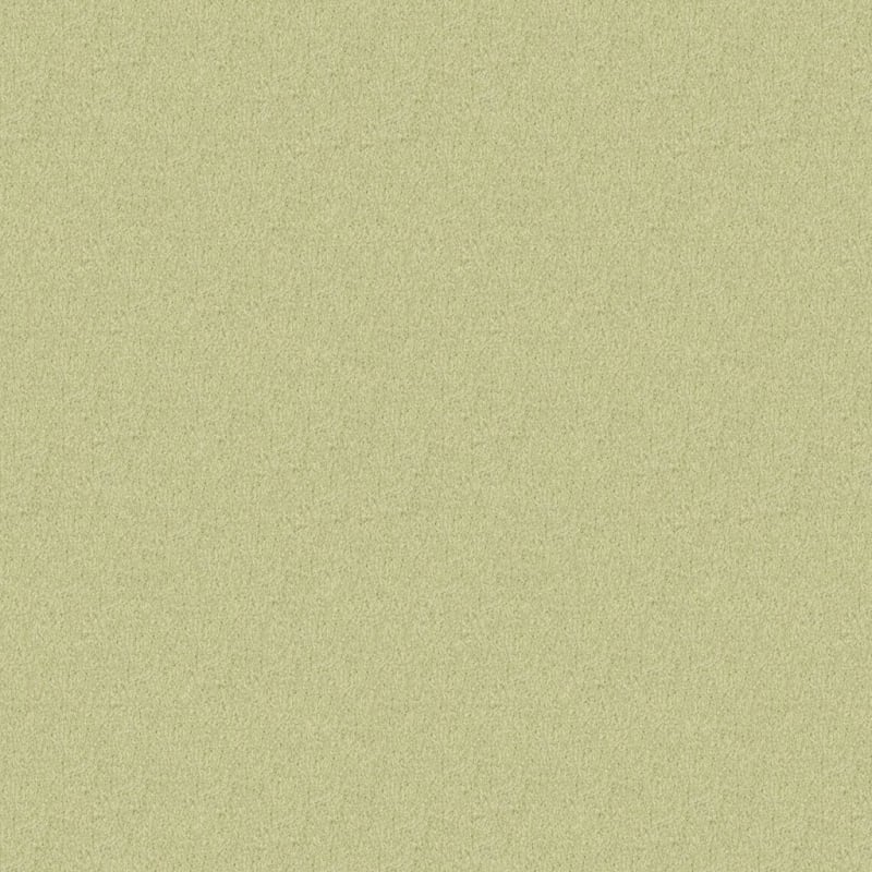 Oceanside carpet by Masland
