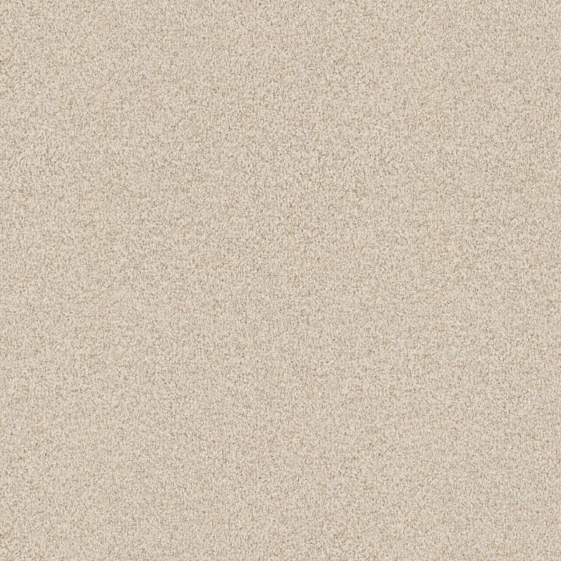 Santa Rosa carpet by Masland