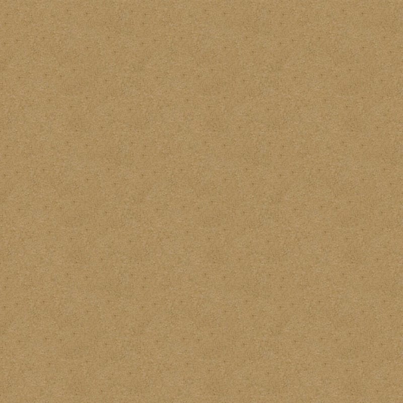 Embrace carpet by Masland