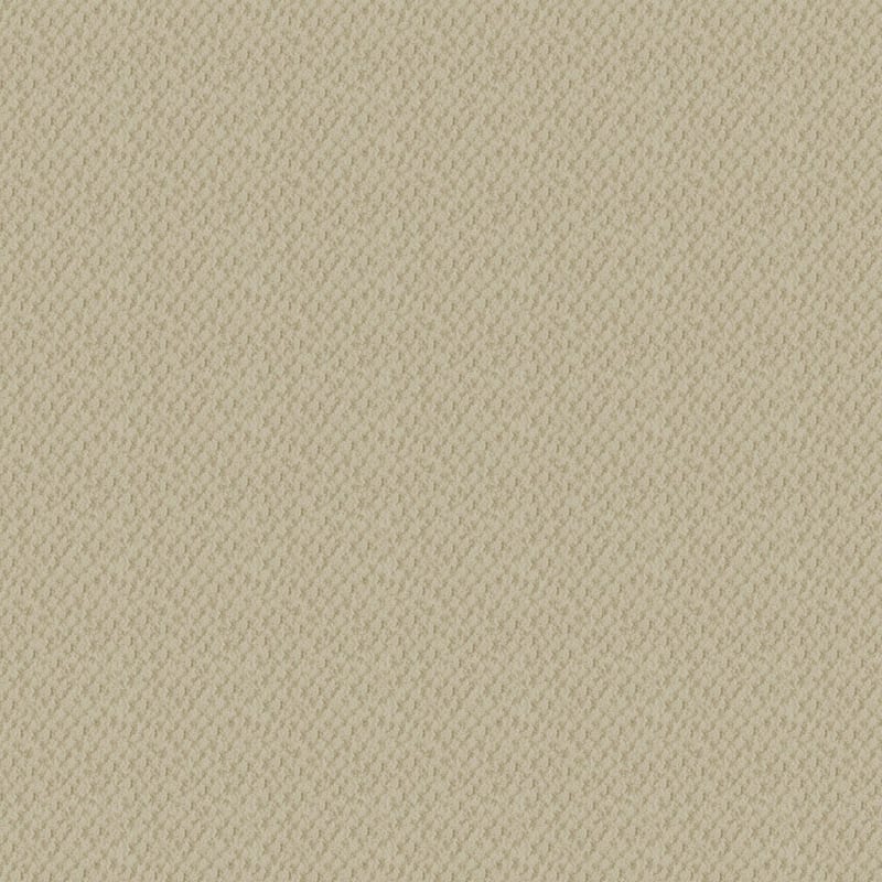 Seurat carpet by Masland