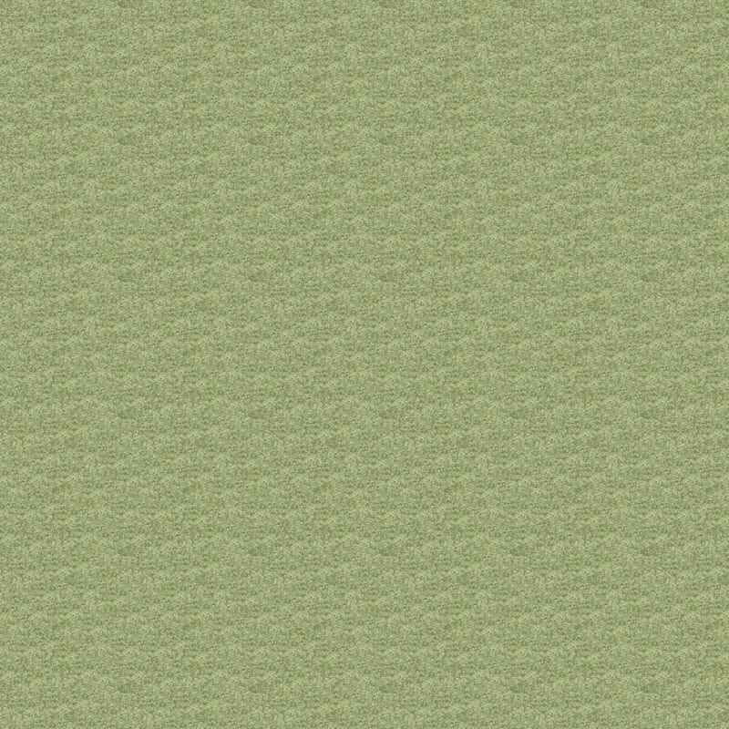 Morgan Bay carpet by Masland