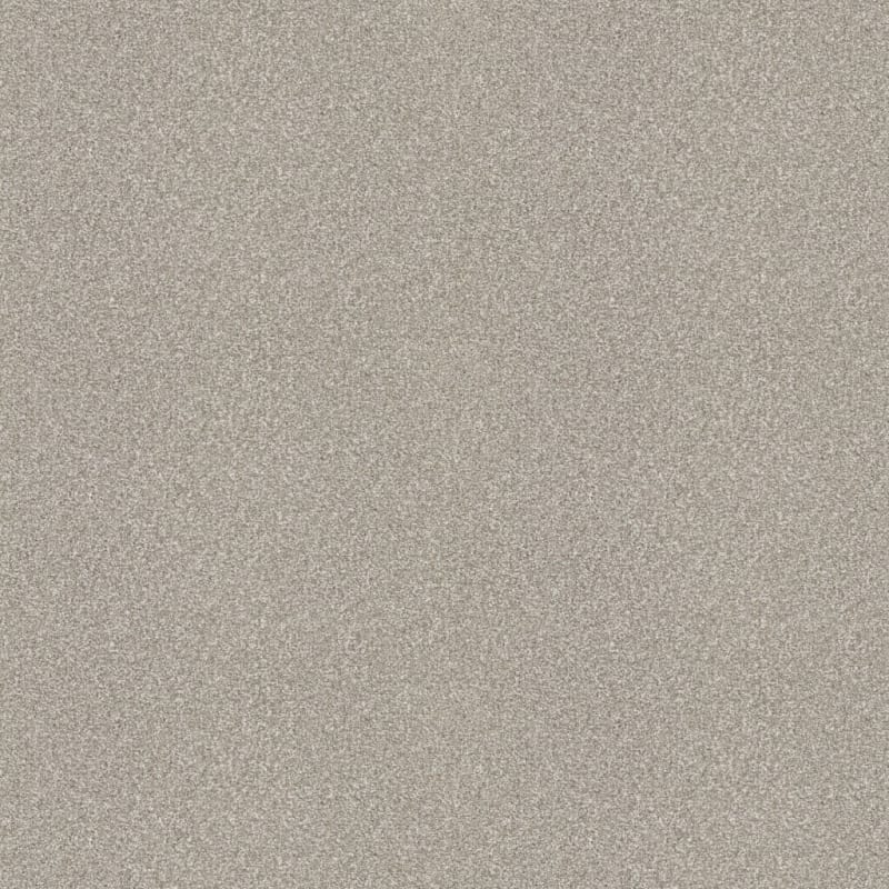 Hunter carpet by Masland