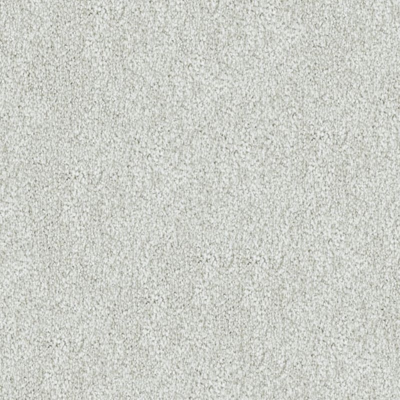 Buena Vida carpet by Masland
