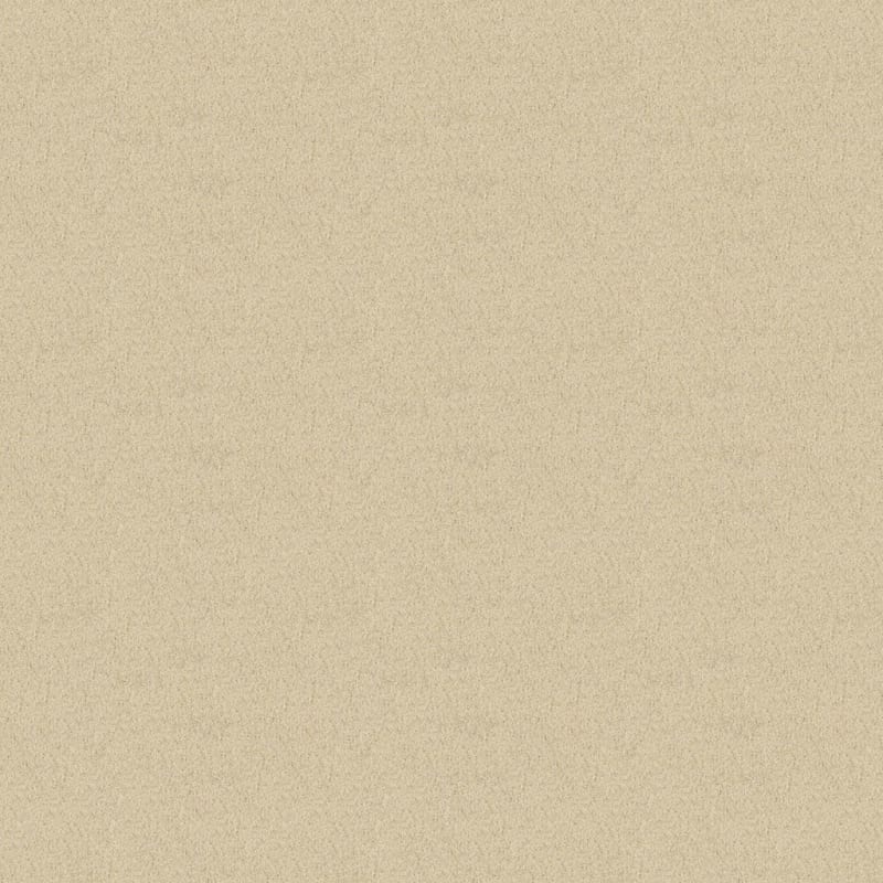 Key West carpet by Masland