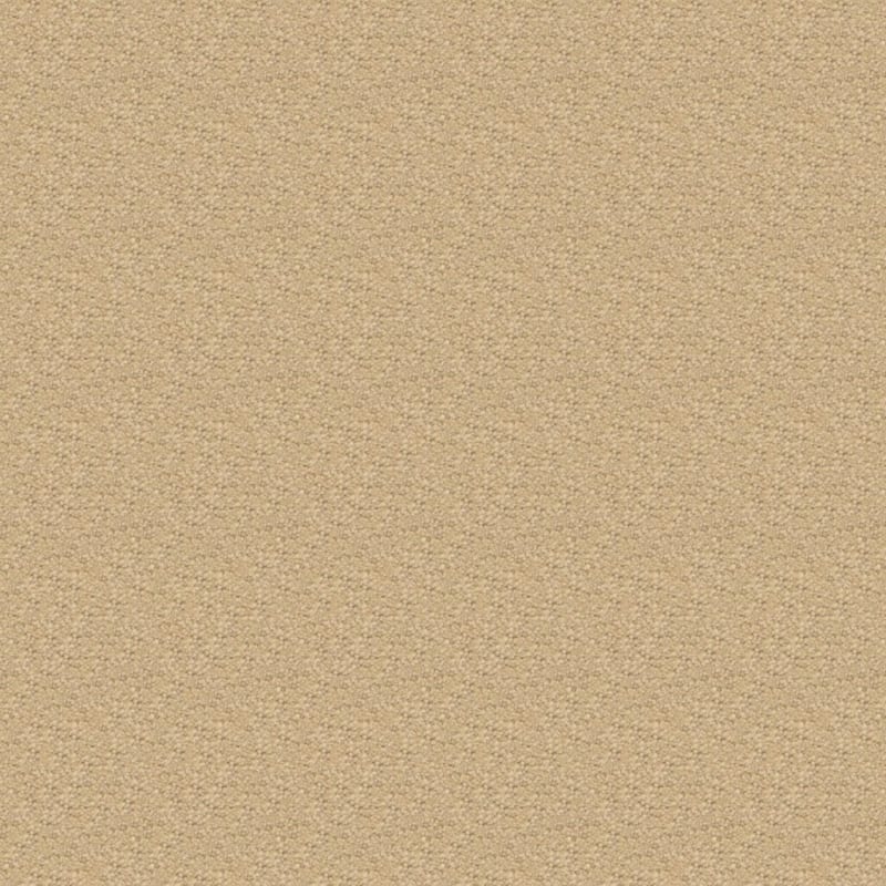 Ravishing carpet by Masland