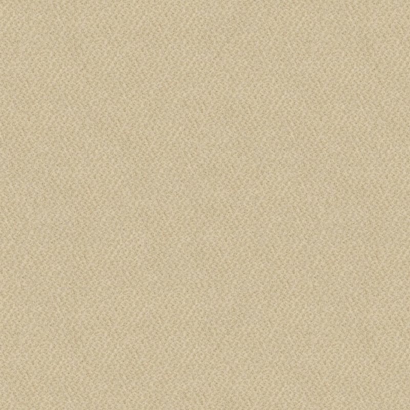New Hope carpet by Masland