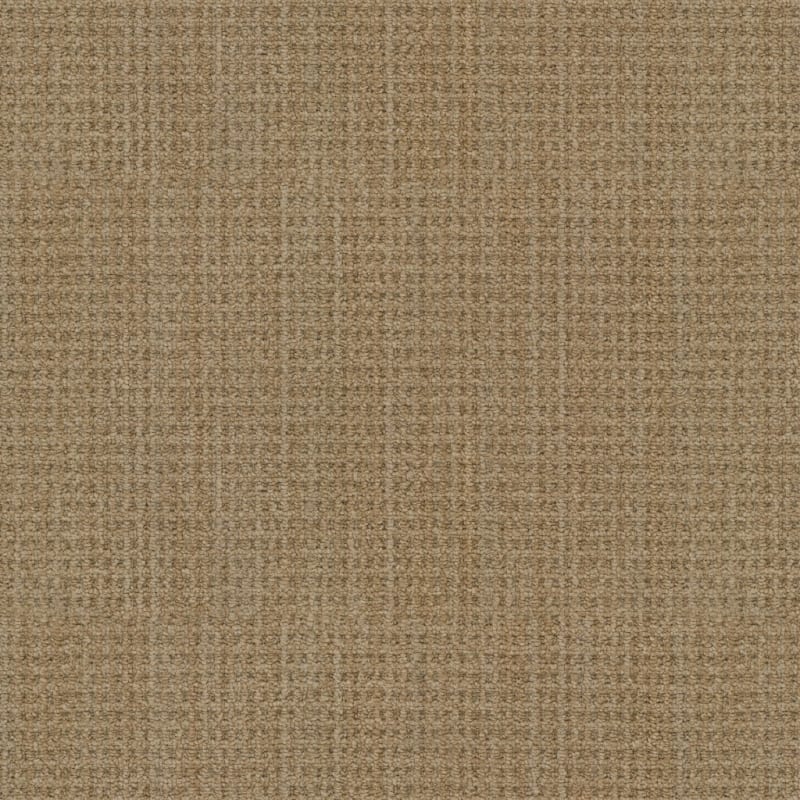 Winslow carpet by Masland