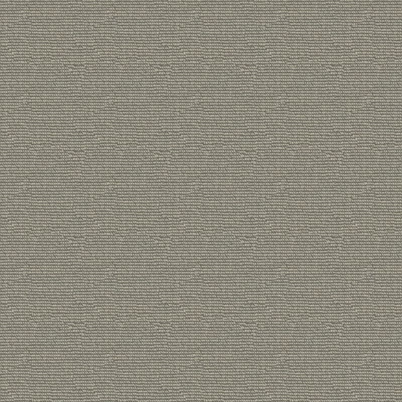Tango carpet by Masland