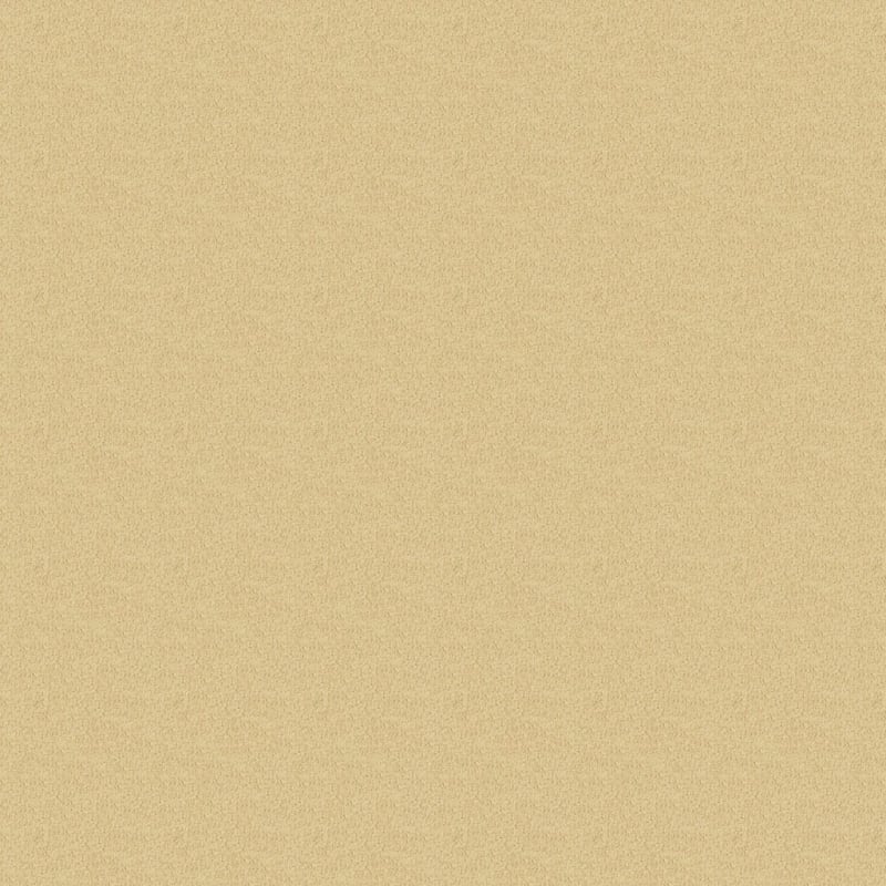Key West carpet by Masland